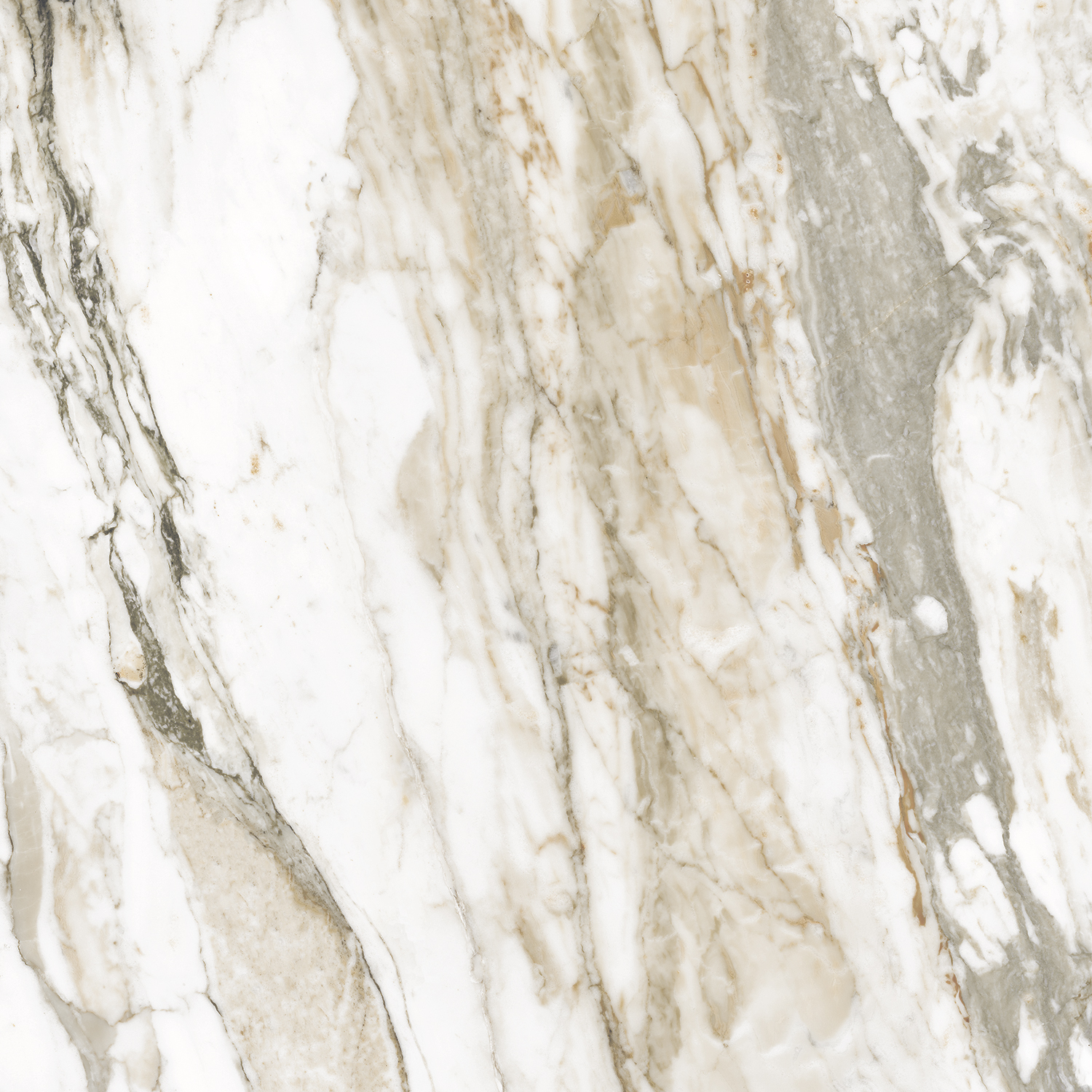 Calacatta Citrus 600х1200мм Glossy, керамогранит ENNFACE