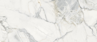 3_Pacific White 4