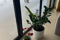 Дизайн-проект частного дома от дизайнера Жерноклев Сергей