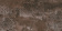 3_Oxido Argentum 3