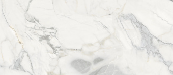 3_Pacific White 2
