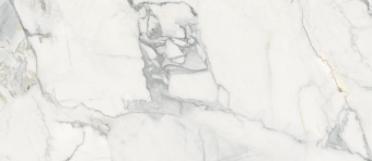 3_Pacific White 3