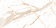 3_CALCATTA GOLD 1