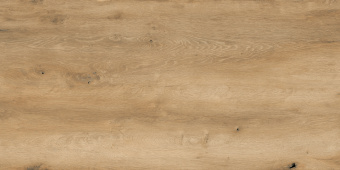 3_OAK OLIVE_02