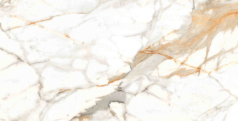3_CALCUTTA ORO 2