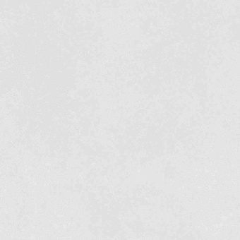 3_COMPASS SNOW 03