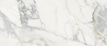 3_Pacific White 1