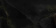 3_ONYX NOIR 7
